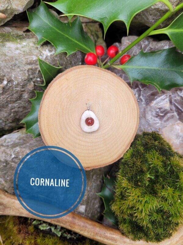 bois de renne et cornaline